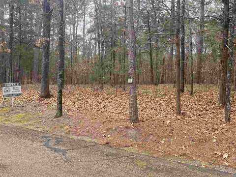 Lot 113 Tannenbaum Road, Drasco, AR 72530