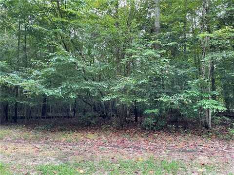 00 10.88 Ac Beech Creek Road, Gloucester, VA 23061