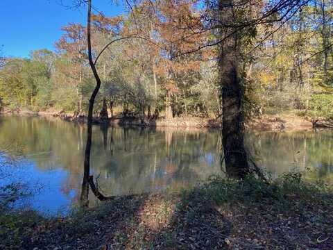 Lot 19 River Ridge Drive, Hawkinsville, GA 31036