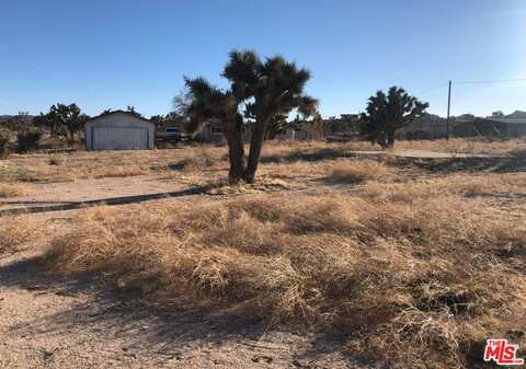 57215 Buena Vista Rd, Yucca Valley, CA 92284