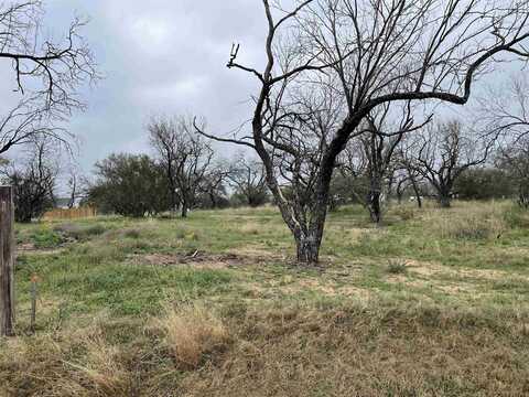 Tbd Lot 3a Airway Street, Kingsland, TX 78639