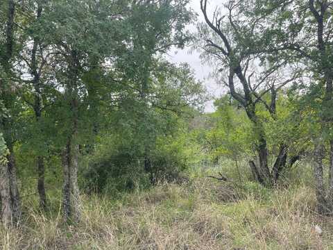 Lots 175 & 176 Hill Wood, Granite Shoals, TX 78654