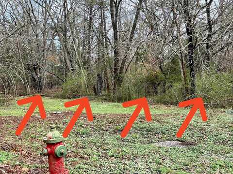 112 Franklin, Woodbine, NJ 08270