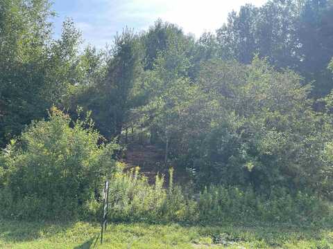 Lot 2 GAVITT STREET, Ringle, WI 54476