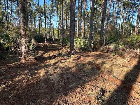 HARNEY HEIGHTS TRAIL, GENEVA, FL 32732