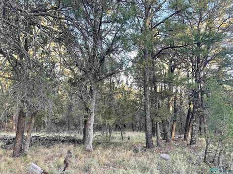 103 Keats Drive, Timberon, NM 88350