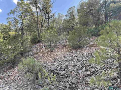 320 Shallow Creek Road, Timberon, NM 88350