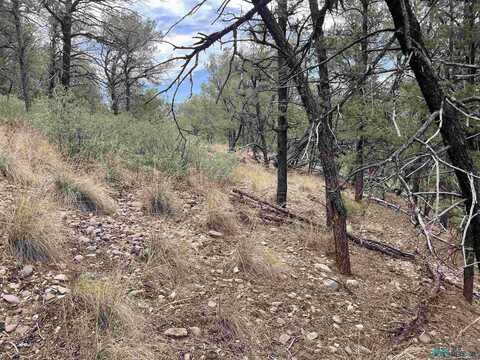 201 Sacramento Drive, Timberon, NM 88350