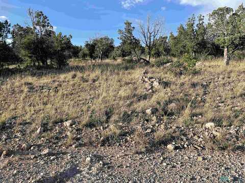 11 Bacon Drive, Timberon, NM 88350