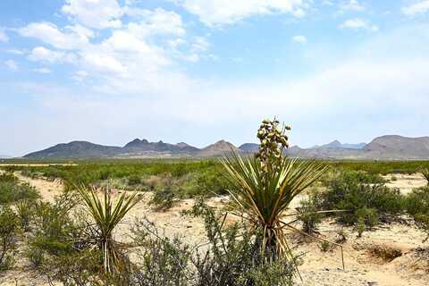 TR: 9026 Private Rd, Terlingua, TX 79852