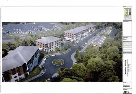 21024 Cornelia Grove Way unit: 203, Cornelius, NC 28031