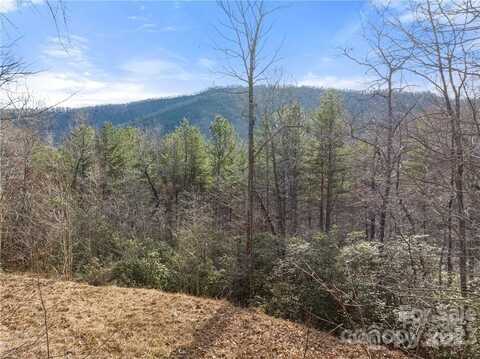 28 Trillium Lane, Black Mountain, NC 28711