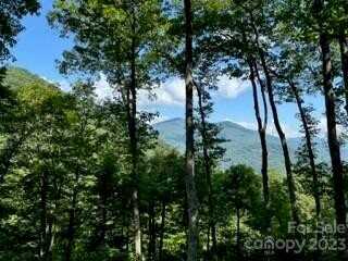 20 Tsalagi Trail, Maggie Valley, NC 28751