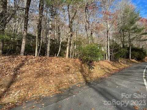 Echota Lane, Brevard, NC 28712