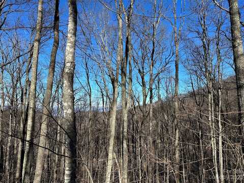 000 Macallan Drive, Waynesville, NC 28786