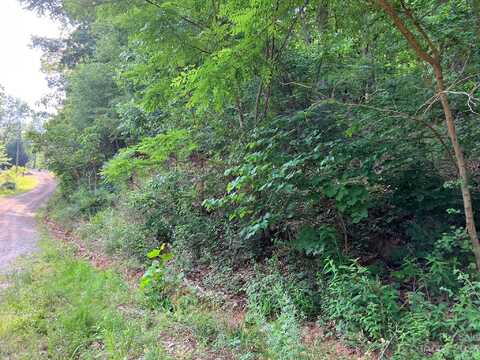 Lot 454 Roberts Trail, Lake Lure, NC 28746