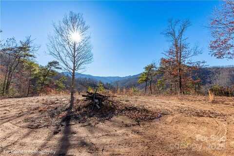 99999 Sourwood Road, Canton, NC 28716