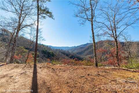 99999 Sourwood Road, Canton, NC 28716