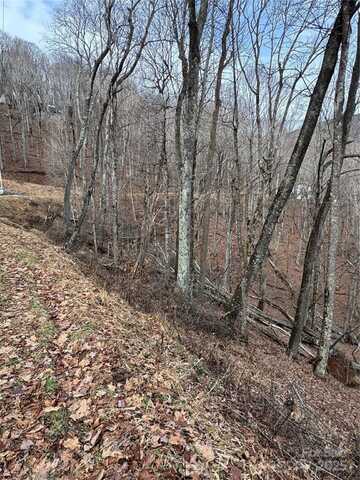 554 Flame Azalea Lane, Mars Hill, NC 28754