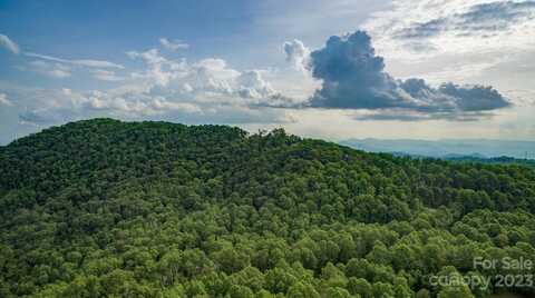 1300 Elk Mountain Scenic Highway, Asheville, NC 28804