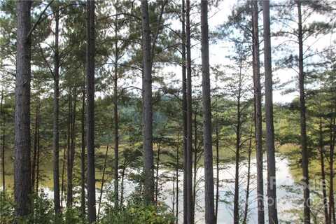 2038 Inlet Shore Road NE, Connelly Springs, NC 28612