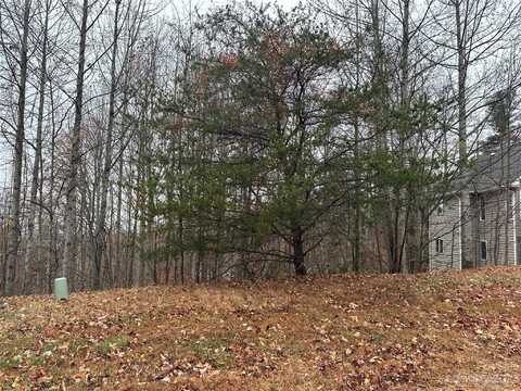 99999 Carriage Summit Way unit: 2438, Hendersonville, NC 28791