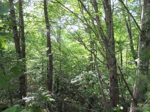 Linville Drive lot: 28, Marion, NC 28752