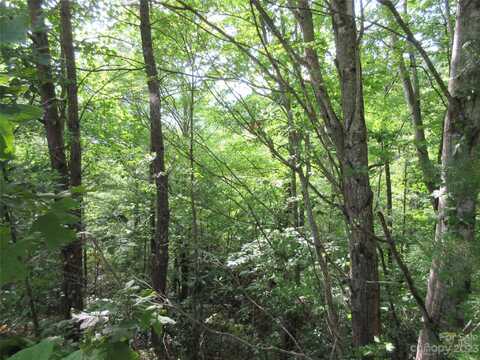 Lot 28 Linville Drive, Marion, NC 28752