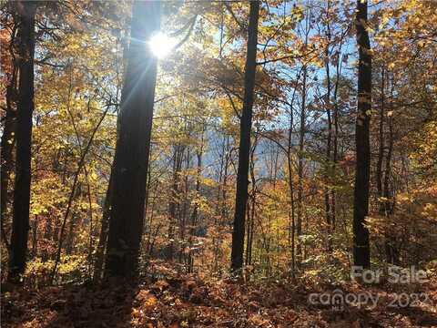 13 Ruffed Grouse Lane, Waynesville, NC 28786