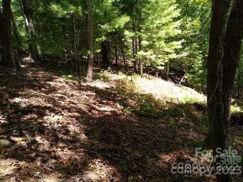 00 Campbell Drive, Pisgah Forest, NC 28768