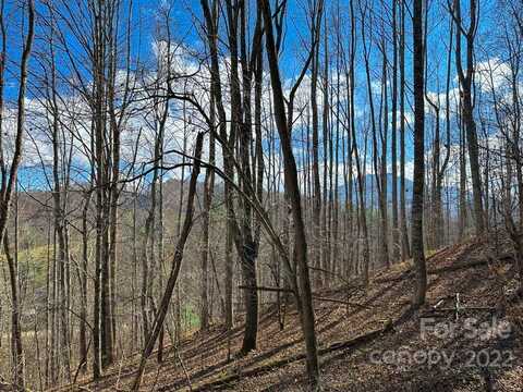 Tbd (lot 2) Stonegate Lane, Creston, NC 28615