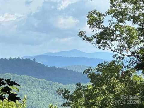 79 Peppervine Circle, Rosman, NC 28772