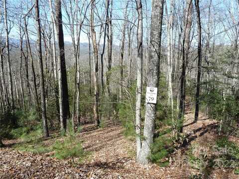 79 Peppervine Circle, Rosman, NC 28772