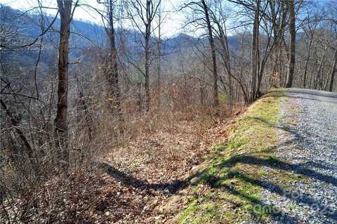 24 Lochmoor Lane, Waynesville, NC 28785