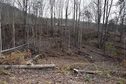 2522 Michael Court unit: 36, Hudson, NC 28638