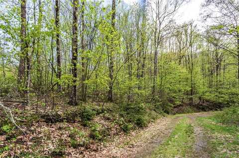 Lot 64 Big Springs Trail, Kelly, NC 28719