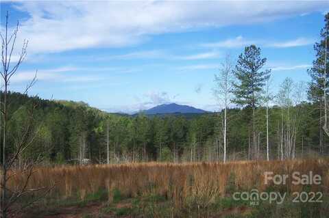 Tract 3 County Line Road, Mill Spring, NC 28756