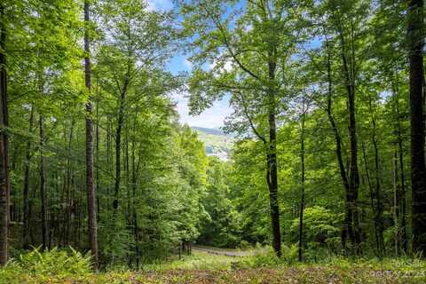 Lt 12a Von Trapp Lane, Tuckasegee, NC 28783