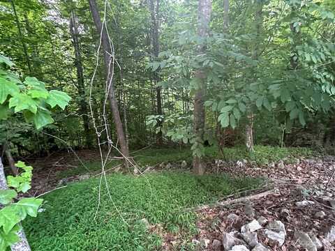 000 Forest Den Drive, Marion, NC 28752