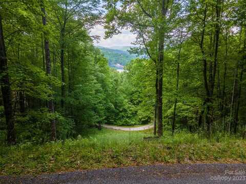 Lt 10 Von Trapp Lane, Tuckasegee, NC 28783