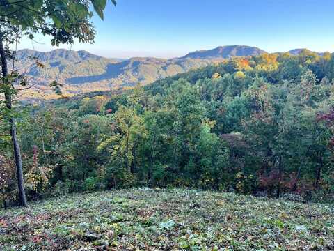 1591 Creston Drive, Black Mountain, NC 28711