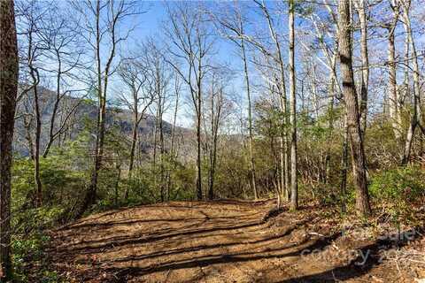 Lot 81 Shangri Lane, Kelly, NC 28719