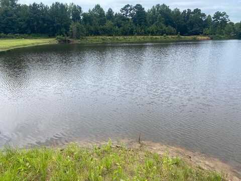 Lot 1 PINE VALLEY CIRCLE, FORT MITCHELL, AL 36856