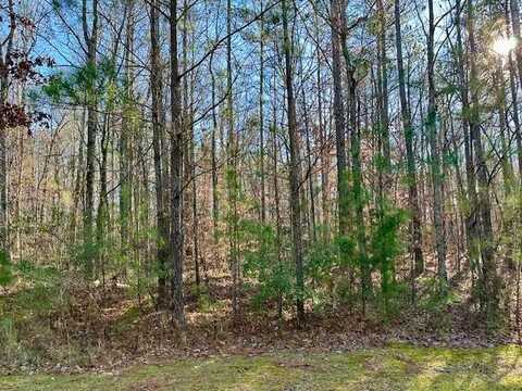 Lot 10 OAK RIDGE DRIVE, WAVERLY HALL, GA 31831