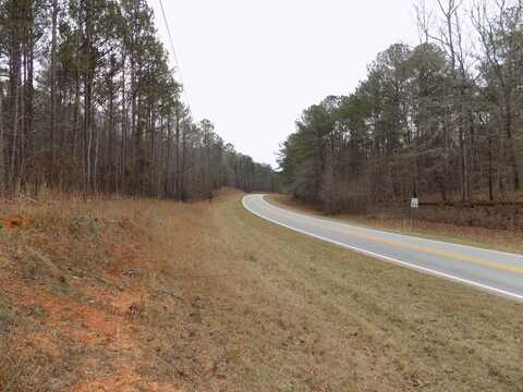 LOWER BLUE SPRINGS ROAD, HAMILTON, GA 31811