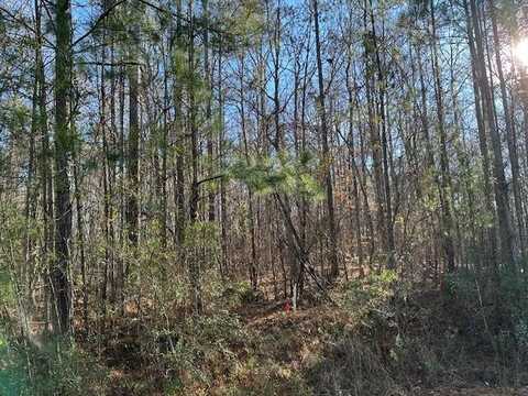 Lot 9 OAK RIDGE DRIVE, WAVERLY HALL, GA 31831