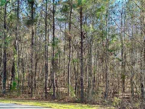 Lot 14 OAK RIDGE DRIVE, WAVERLY HALL, GA 31831