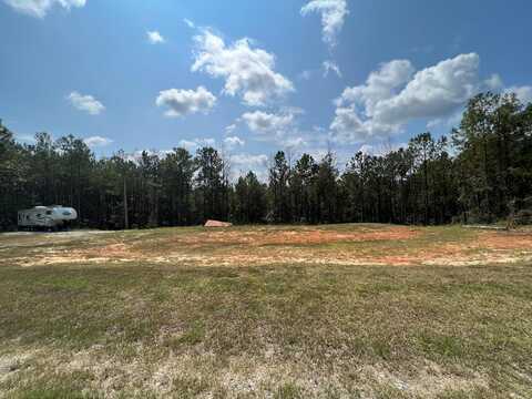 131 PINE HILL ROAD, CUSSETA, GA 31805