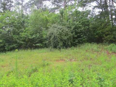 909 RED FOX COURT, CATAULA, GA 31804