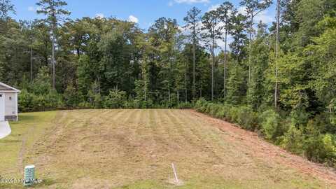 3008 Verdant Ridge Ridge, New Bern, NC 28562